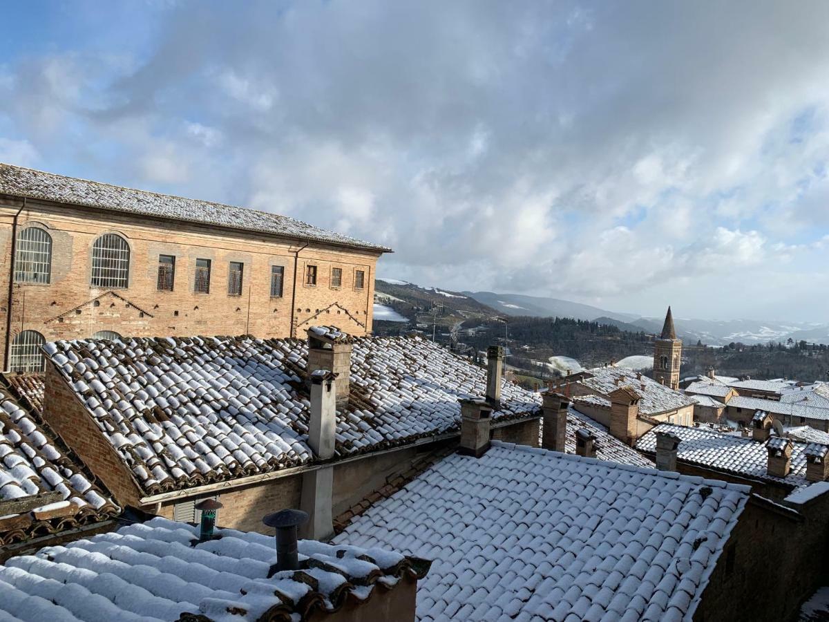 B&B Albornoz Urbino Bagian luar foto